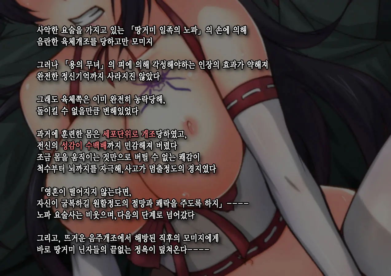 Joketsu Rouraku ~Miko Kunoichi Kaizou Choukyou~